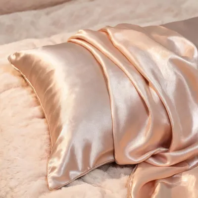 cozy earth 100% mulberry silk pillowcase